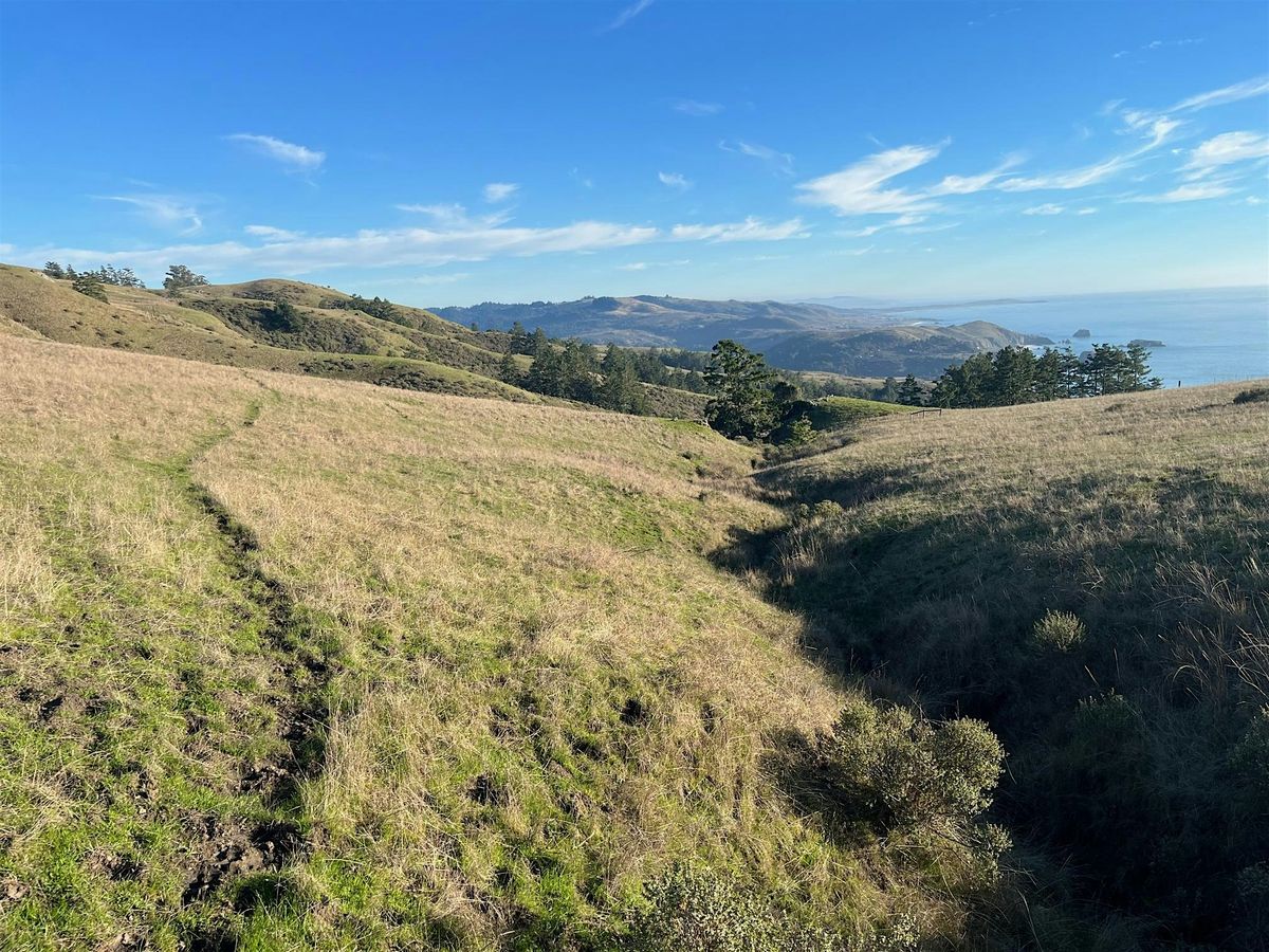 Coastal Prairie Ecology Adventure