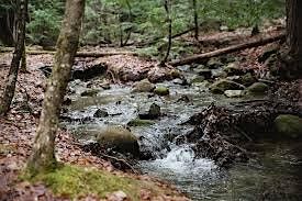 Mindfulness Hike @ Beaver Brook Association