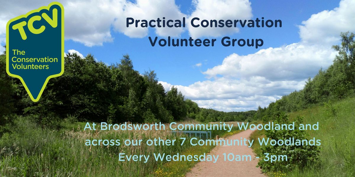 Practical Conservation Volunteer Group at Brodsworth Community Woodland