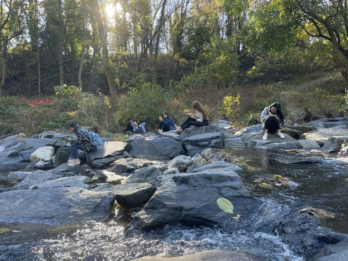 Placemaking on the Jones Falls: A Nature Journaling Workshop