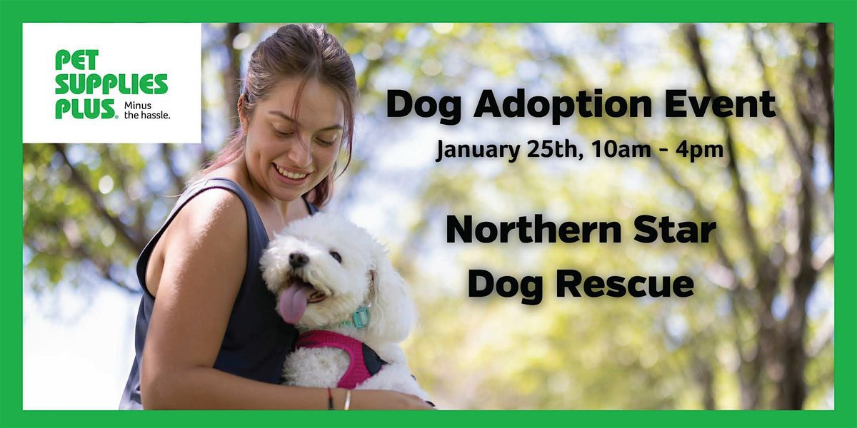 Dog Adoption Event with Northern Star Dog Rescue