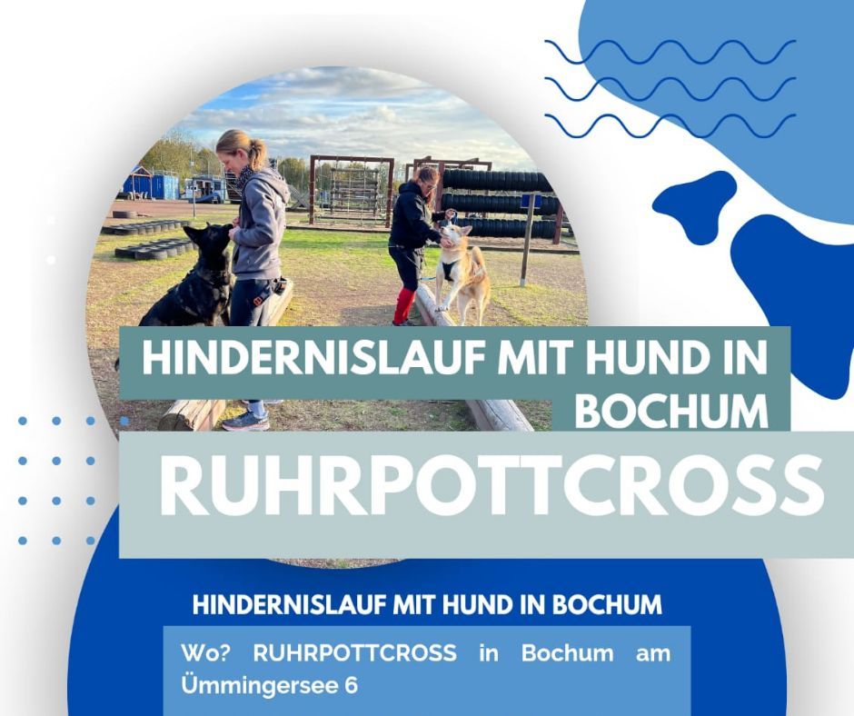 Hindernislauf mit Hund in Bochum