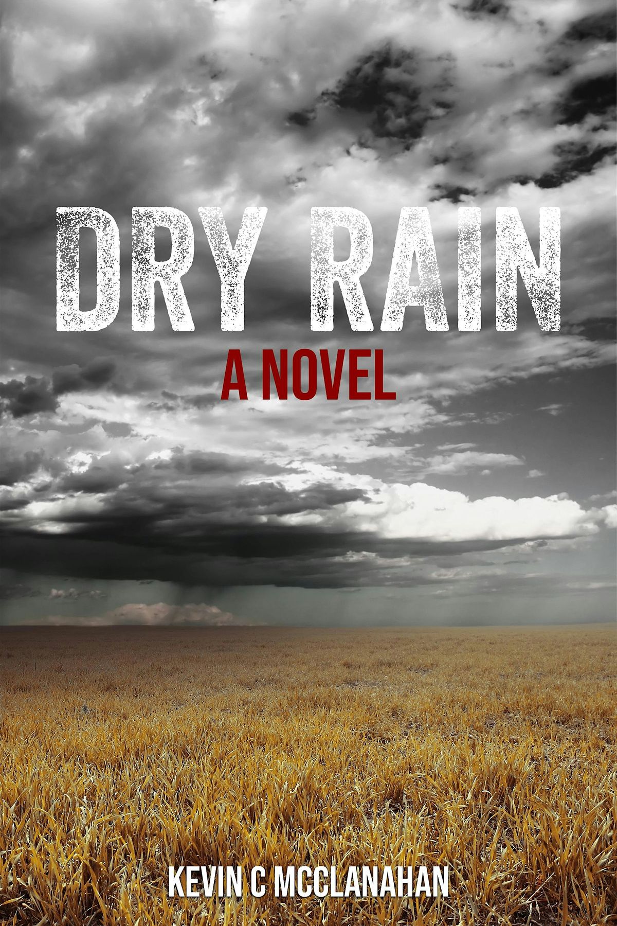 Dry Rain Book Launch