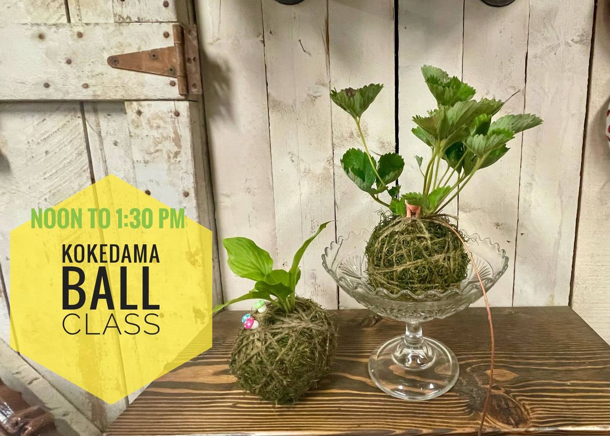 Kokedama Ball Class 