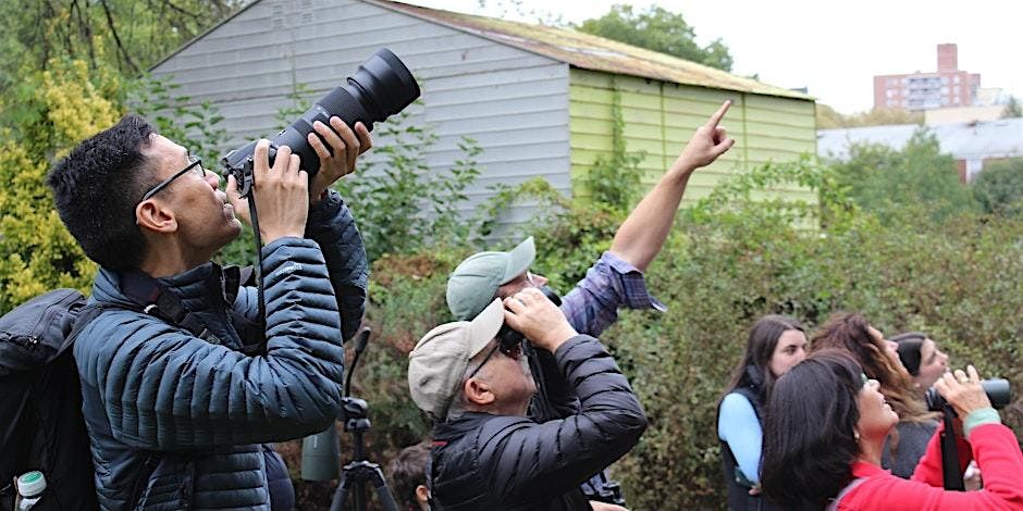 Dusk Spring Bird Walk with NYC Birds Alliance