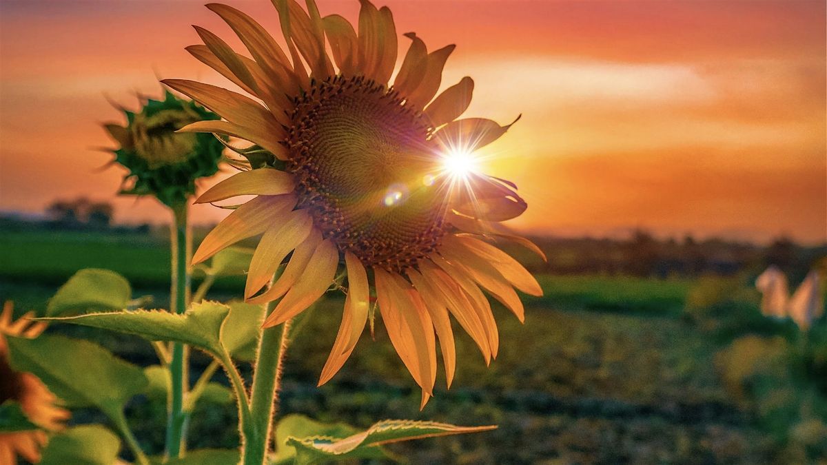 Stop Striving, Start Coping 8-Week MBSR Class