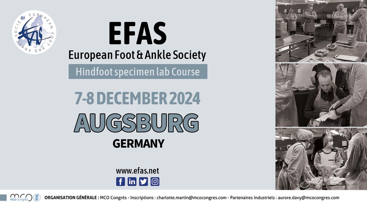 EFAS Hindfoot specimen lab Course 2024, Augsburg