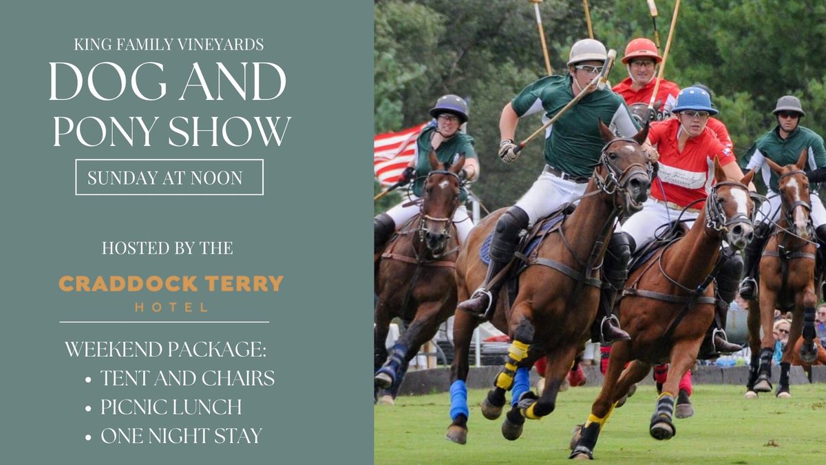 Dog and Pony Show Sunday Night Polo Package 