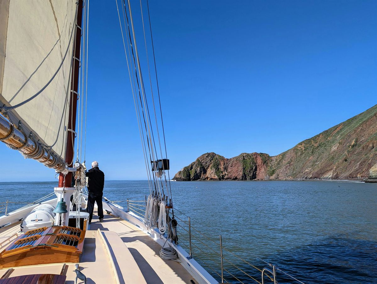 Father's Day 2025 - Marine Wildlife Sail under the Golden Gate Bridge