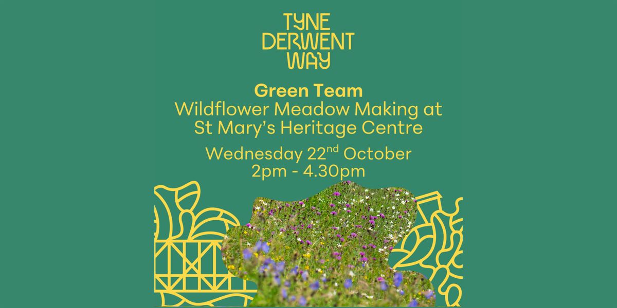 Green Team | Wildflower Meadow Making at St Mary's Heritage Centre
