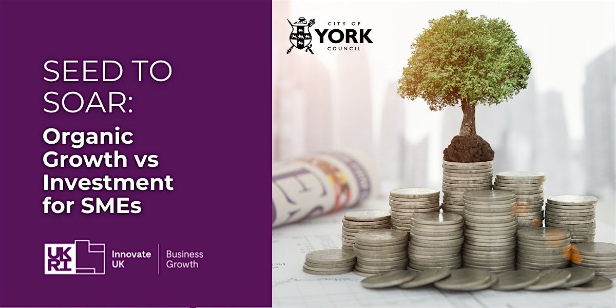 Seed to Soar: Organic Growth vs Investment for SMEs