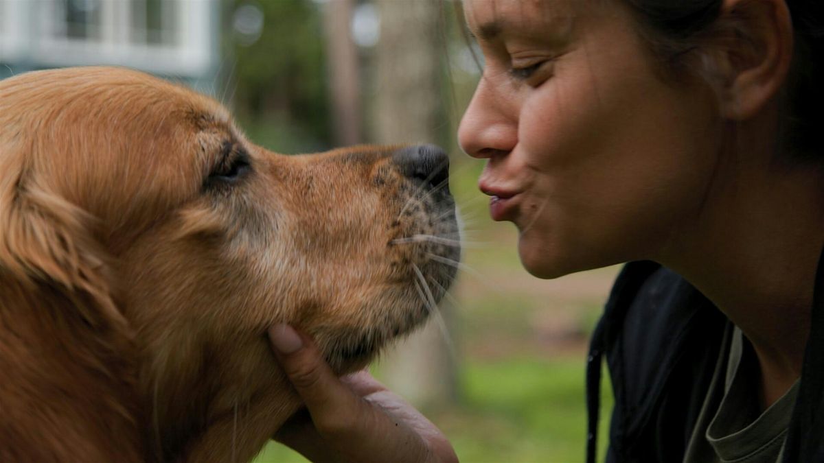 Closed Screening IFFWW: After the Rain. Putin\u2019s Stolen Children Come Home