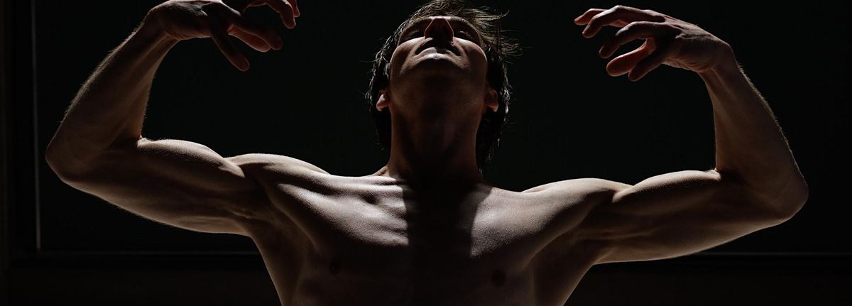 Anatomie des Tanzes