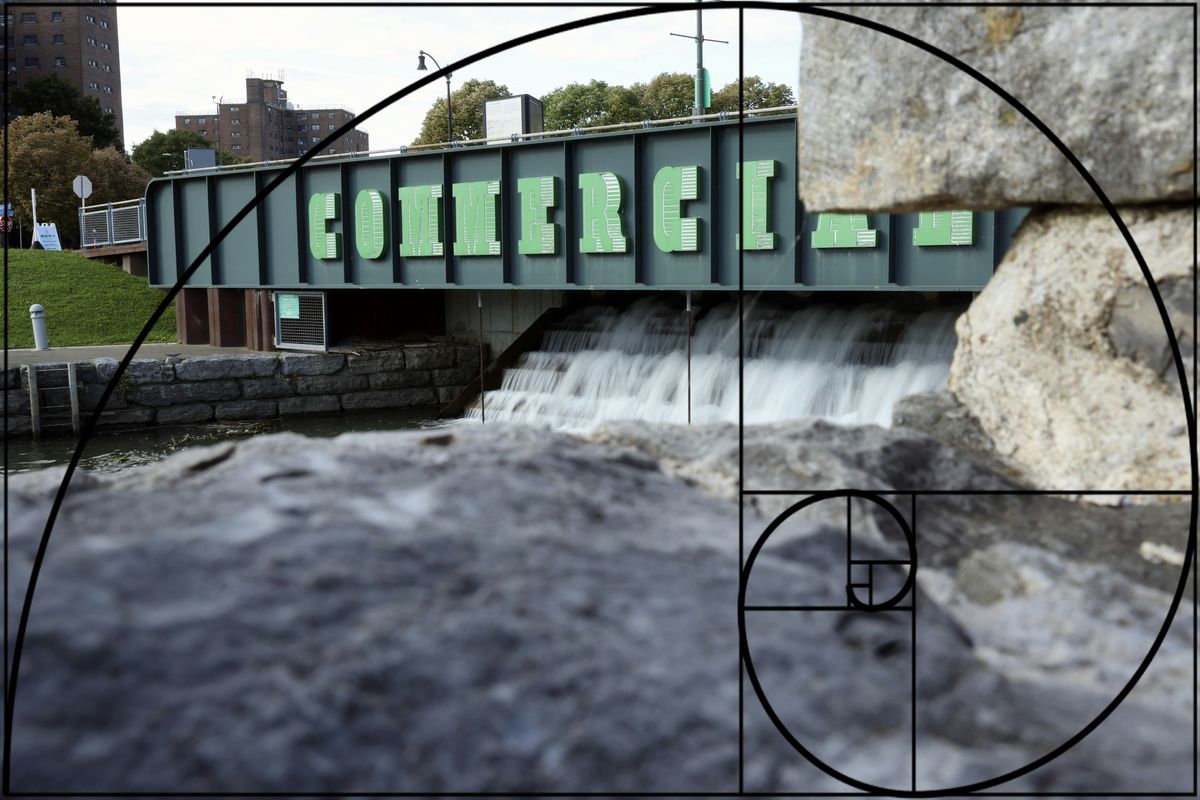 Intro to Photography and Composition