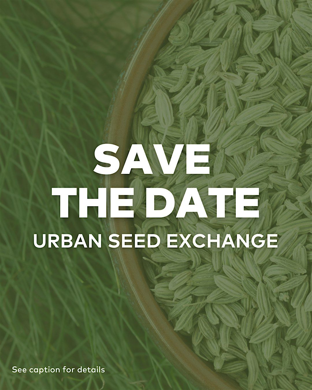 Urban Seed Exchange