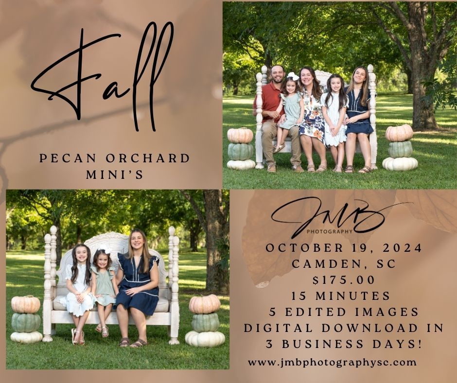 Fall Pecan Orchard Photography Mini Sessions