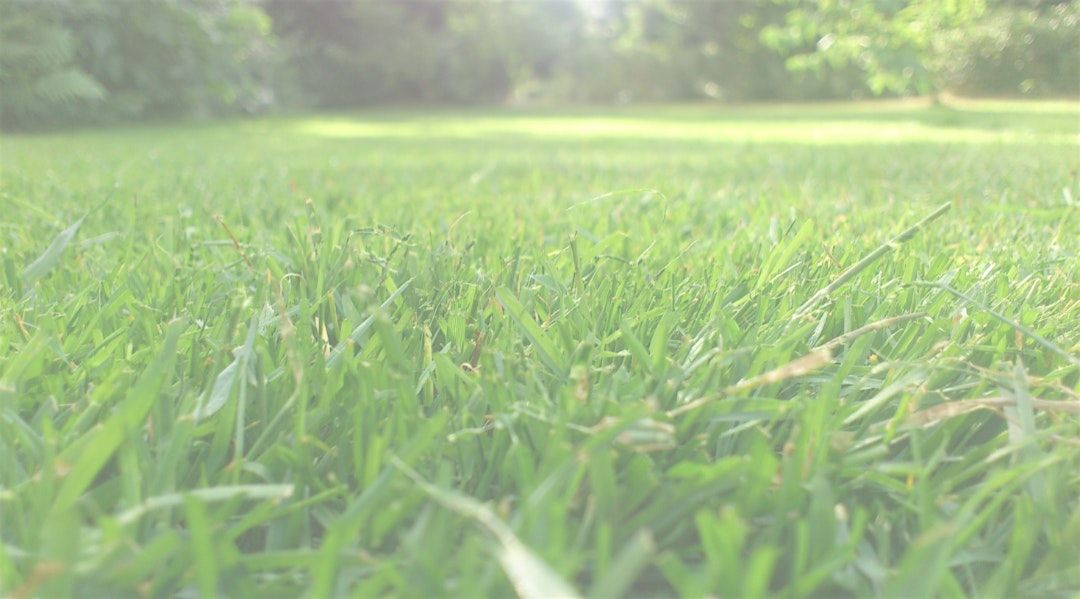 Electric Lawn Equipment Field Day