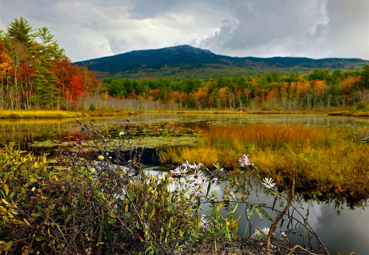 Monadnock Region Natural History Conference