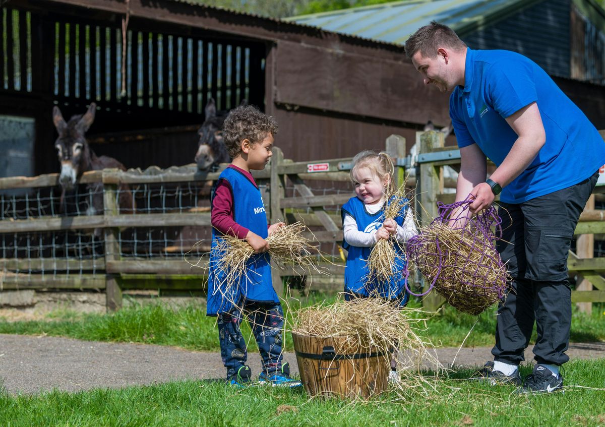Adventure Farm Day Nursery - Open Day 29th November