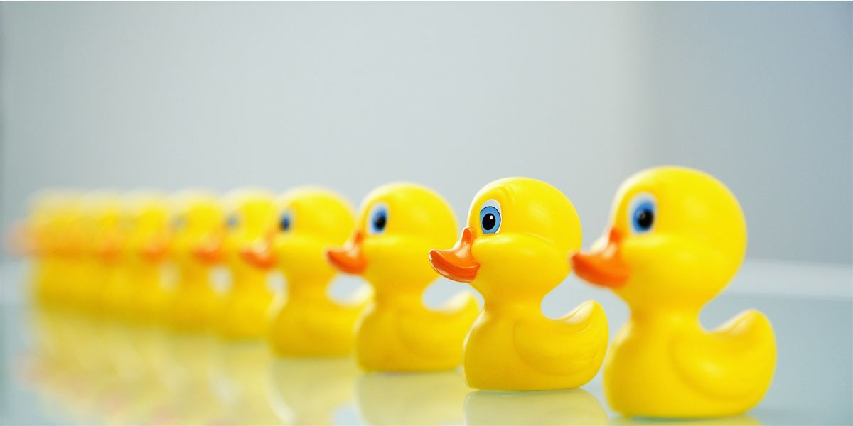 You've written a will but are all your Ducks in a Row?