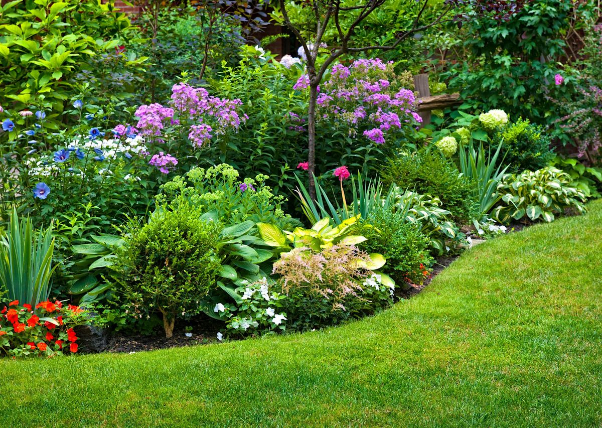 Landscaping Basics
