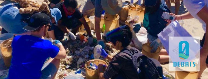 Spooky Beach Cleanup