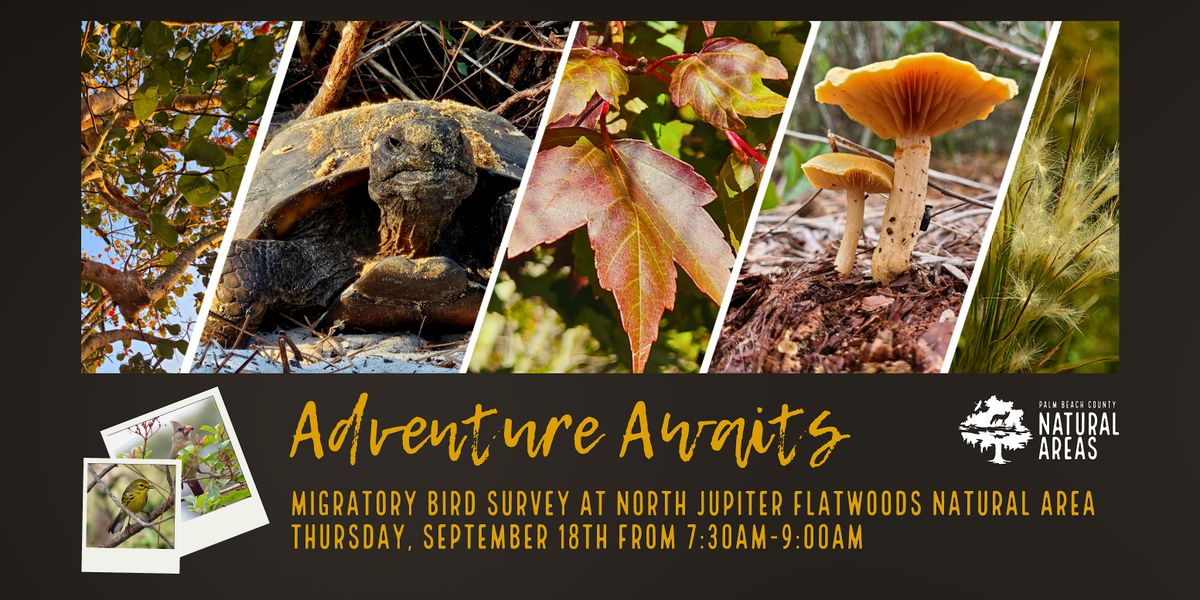 Adventure Awaits - Migratory Bird Survey and Hike