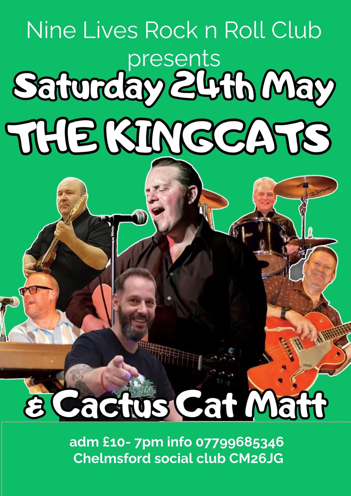 THE KINGCATS AND CACTUS CAT MATT