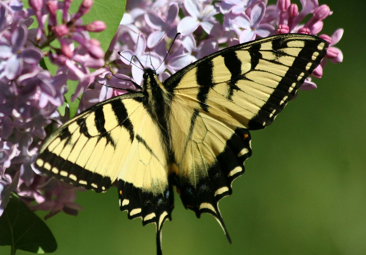 12th Annual Gardeners\u2019 Conference