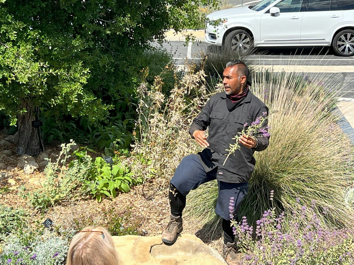 Native Garden Maintenance - Fall and Winter Techniques