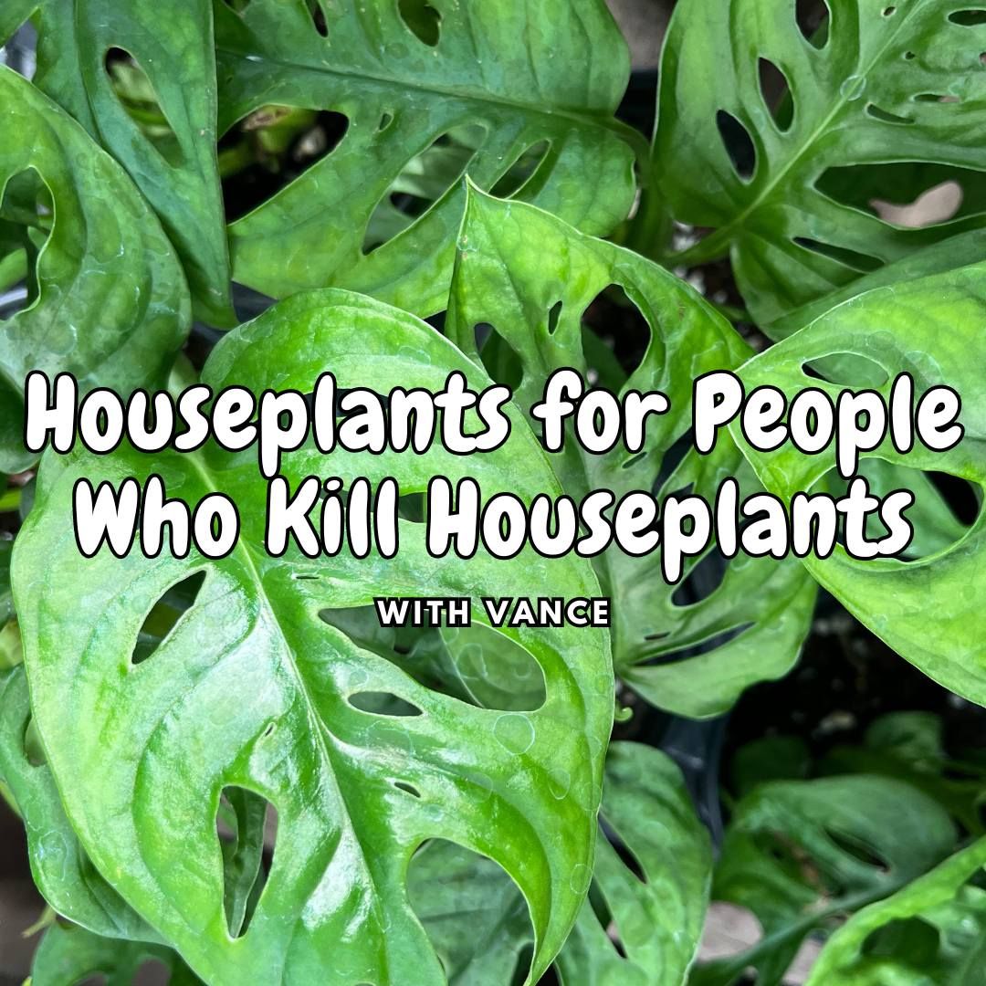 Houseplants for People Who K*ll Houseplants w\/ Vance!