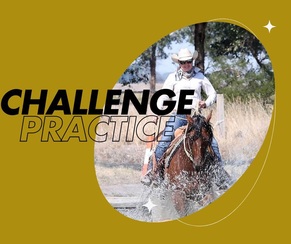 Challenge Practice