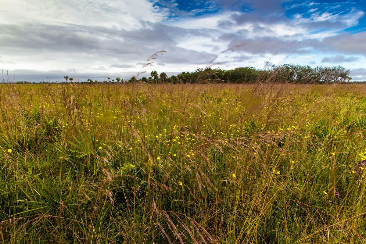 Suncoast CISMA Grass Identification Workshop-Myakka River State Park