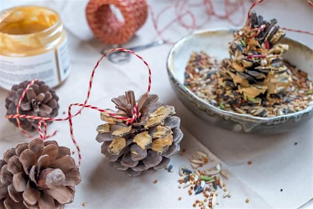 Pine Cone Bird Feeders