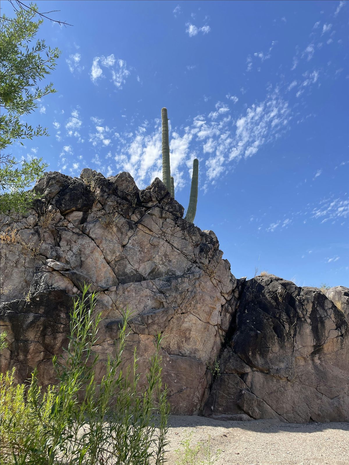 Spring Cleaning at Davidson Canyon (Sept. 7)