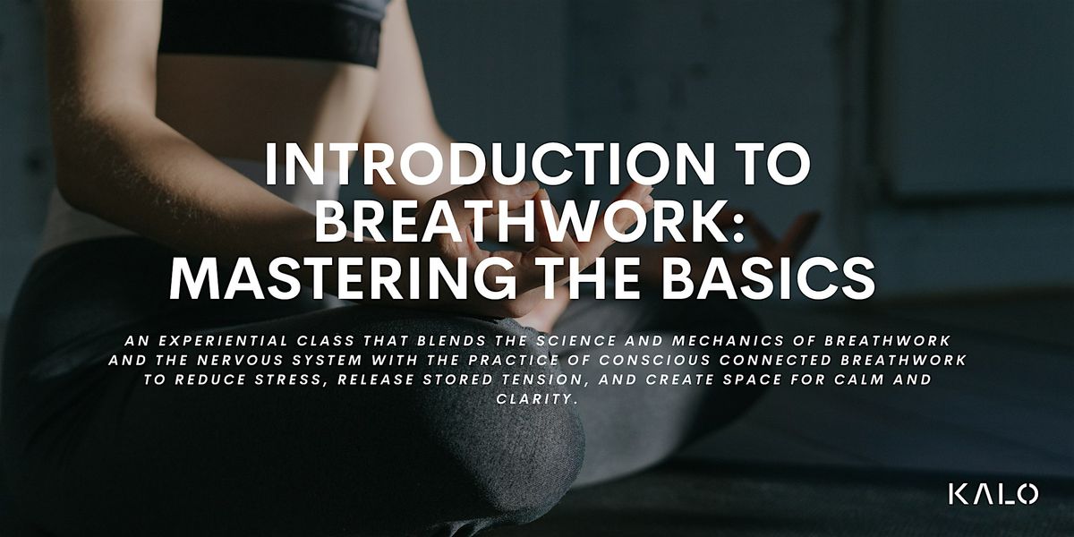 Introduction to Breathwork: Mastering the Basics