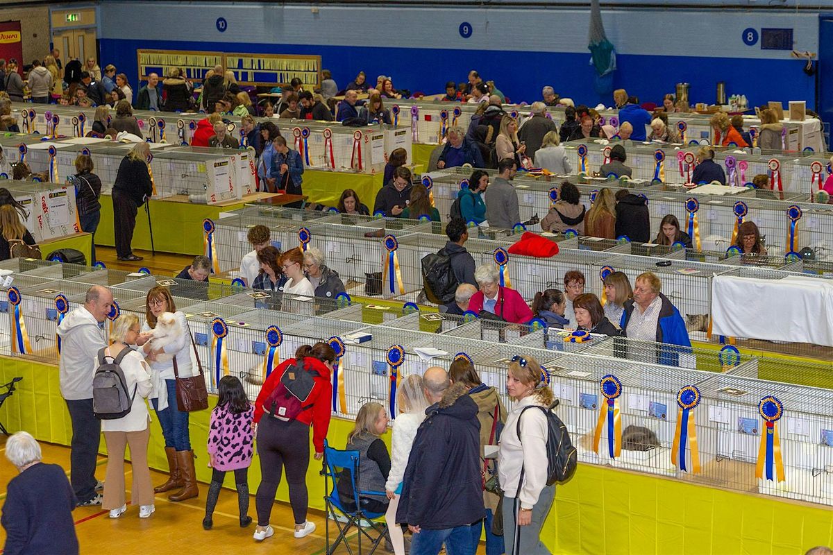 CAT SHOWS 2025 - Surrey & Sussex, Burmese, and Rex Cat Shows