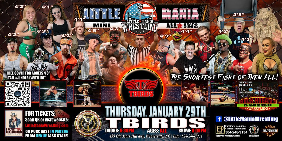 Weaverville, NC - Little Mania Mini Wrestling @ Tbirds