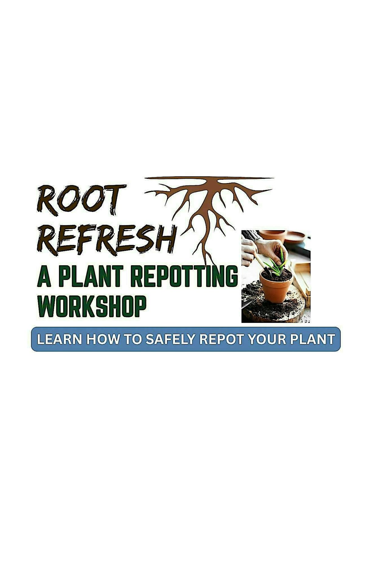 Root Refresh - A Plant Repotting Workshop