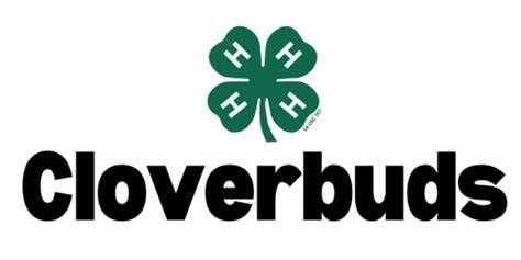 4H Cloverbuds Informational Meeting - Dahlonega Area