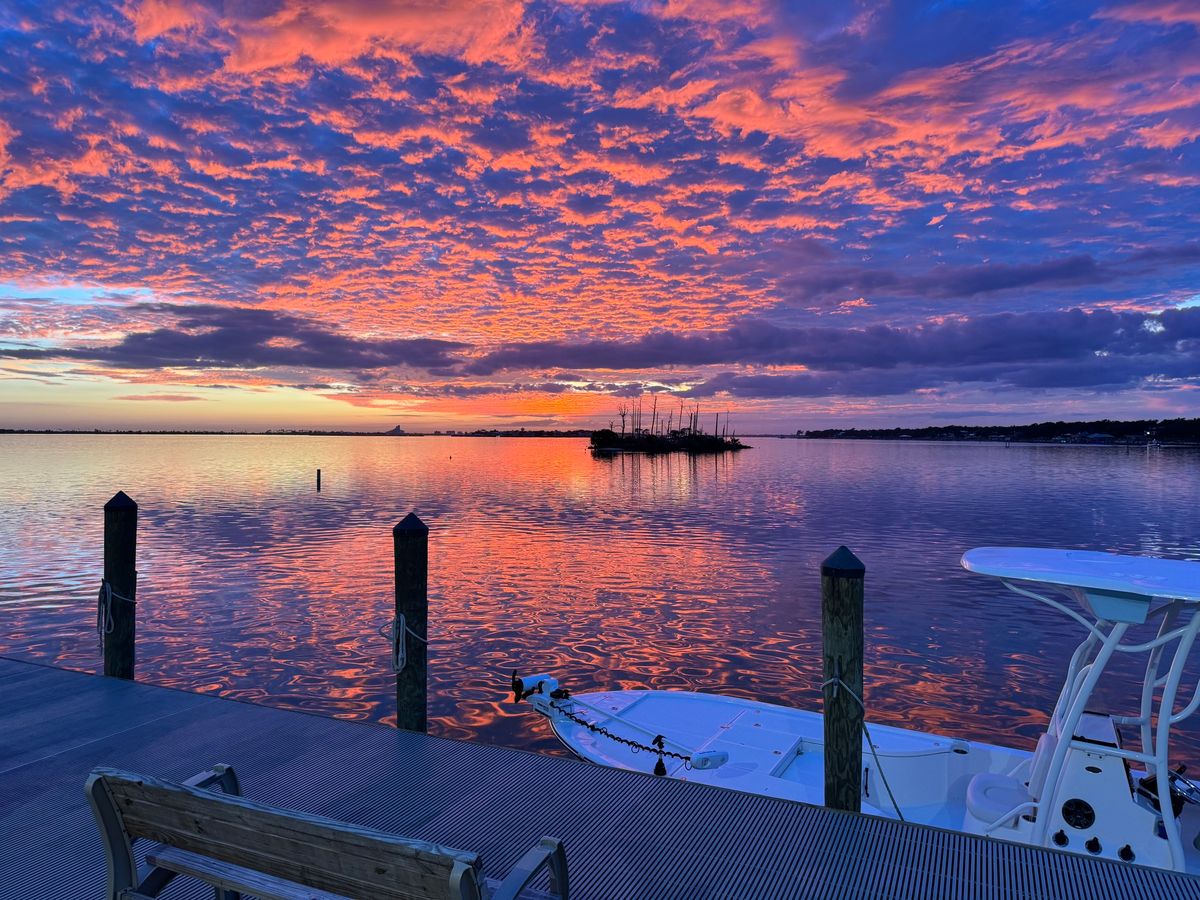 Sunset Grille Dog Walk 2024 - Pensacola, FL 2024