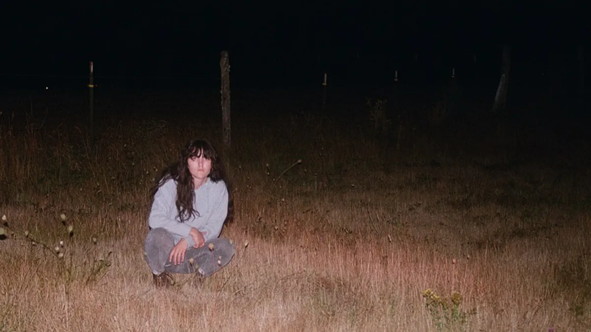 Searows in Rotterdam