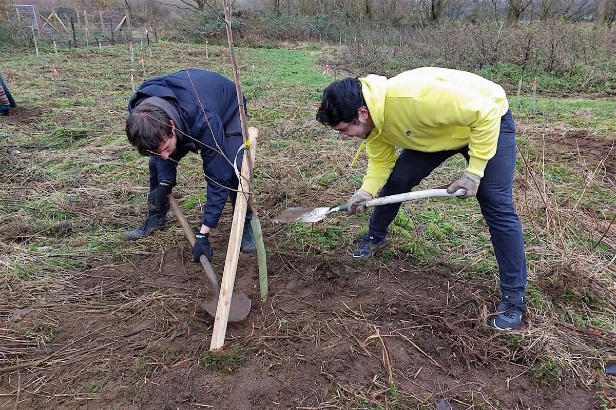 Tree Planting at a charity in Reigate