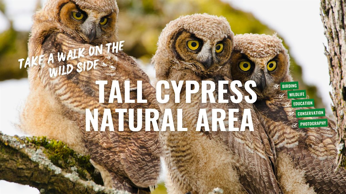 Tall Cypress Natural Area