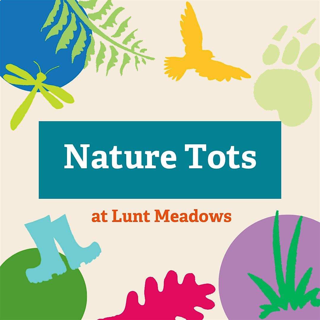 Nature Tots at Lunt Meadows