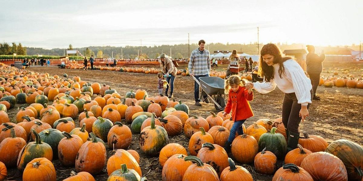 Fredericksburg Pumpkin Patch & Hayrides