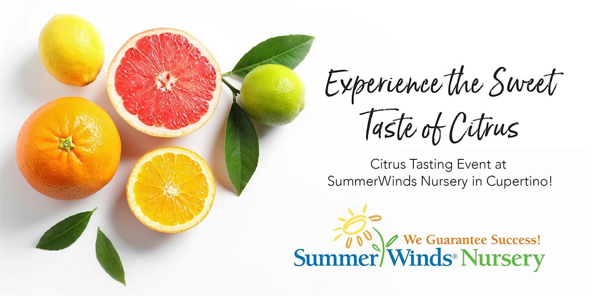 Experience the Sweet Taste of Citrus at SummerWinds Nursery in Cupertino!