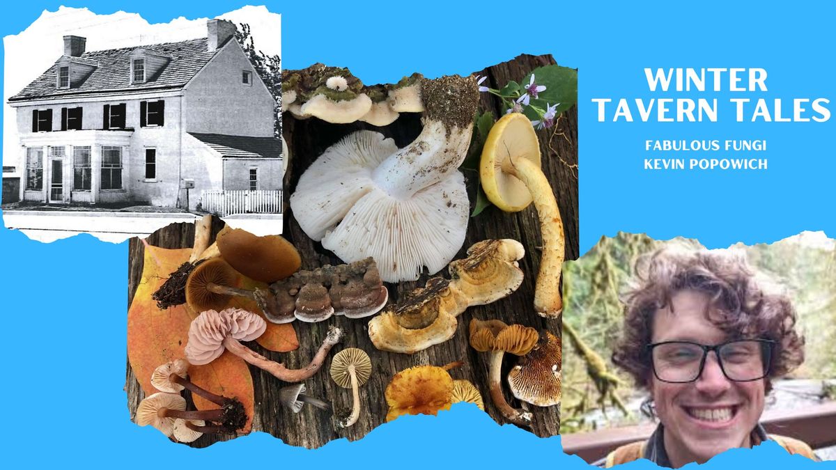 Winter Tavern Tales: Fascinating Fungi