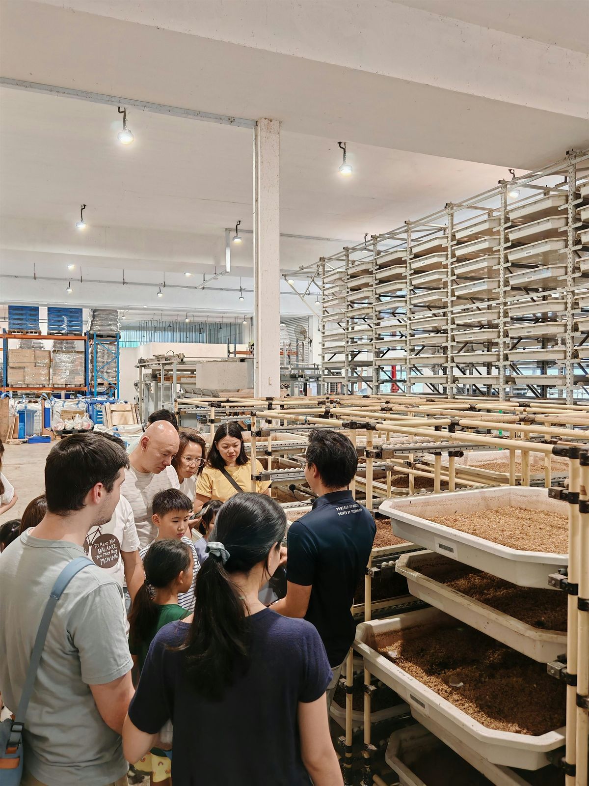 90mins Insect Farm Tour: From Food Waste to Wonder!