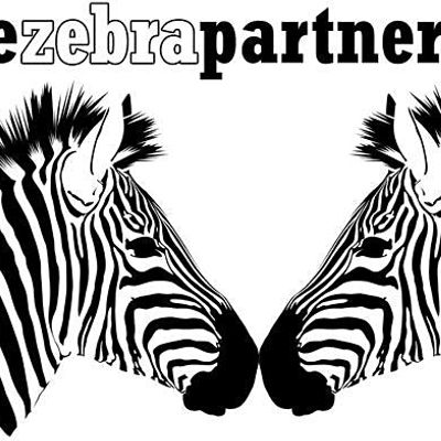 Carol Ann Whitehead FRSA, Director of Dazzle, The Zebra Partnership